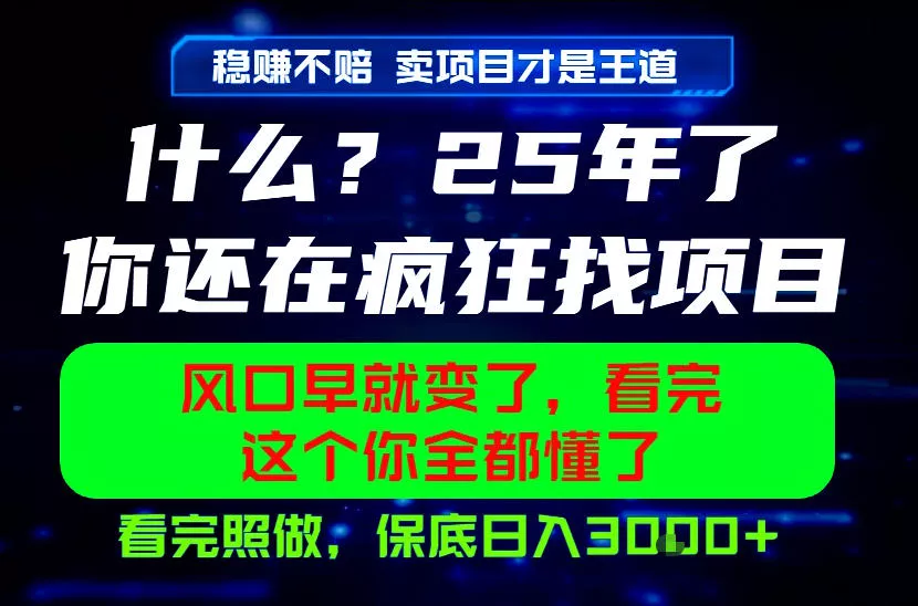 26年，请不要疯狂的找项目做了！卖项目才是真的稳賺不赔，看完照做，保底日入1k+【揭秘】 - 渡客网创
