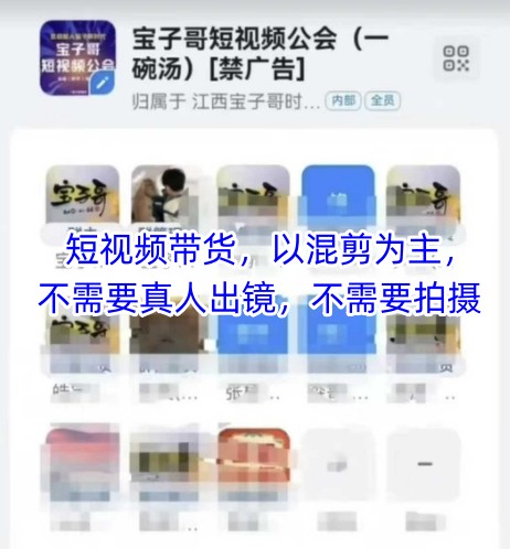 宝子哥头部团队短视频带货，以混剪为主，不需要真人出镜，不需要拍摄【更新26年1月】 - 渡客网创