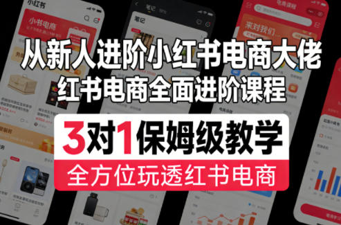 从新人进阶小红书电商大佬，红书电商全面进阶课程，3对1保姆级教学，全方位玩透红书电商 - 渡客网创