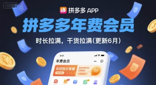 拼多多年费会员，实经验分享操，时长拉满，干货拉满(更新26年06月02日) - 渡客网创