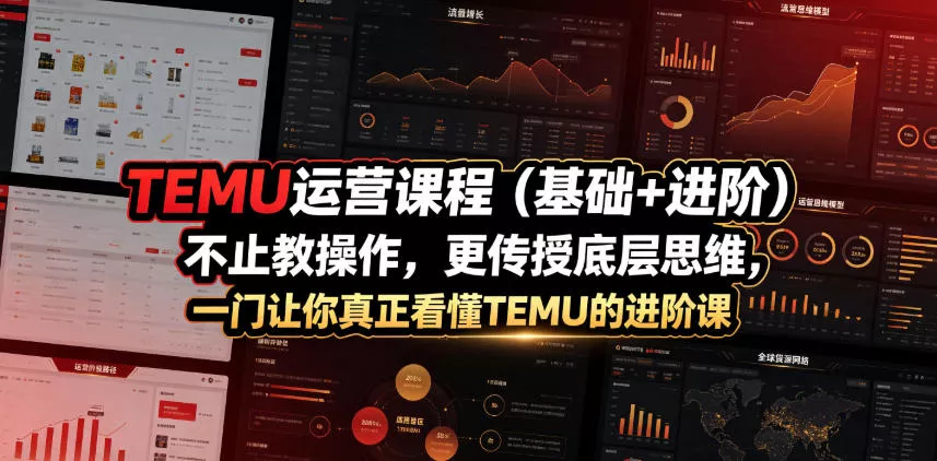 TEMU运营课程(基础+进阶)，不止教操作，更传授底层思维，一门让你真正看懂TEMU的进阶课 - 渡客网创
