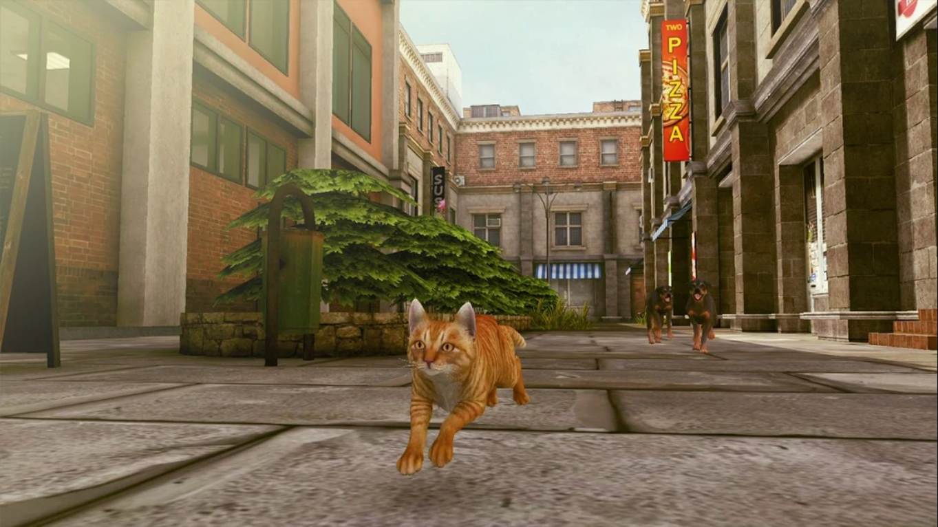 【美版】小猫大营救2 .Little Strays 2 中文