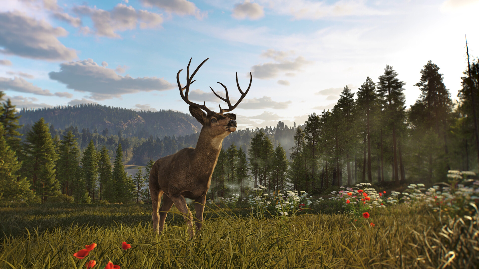 狩猎之道2/Way of the Hunter 2 - 渡客网创