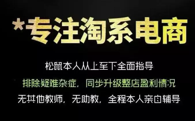 松鼠会电商VIP课程，从基础布局到高阶优化，助你掌握淘宝运营逻辑，提升店铺流量与转化 - 渡客网创