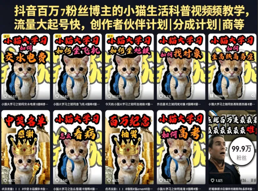 抖音百万粉丝博主的小猫生活科普视频教学，流量大起号快，创作者伙伴计划|分成计划|商单|收徒等 - 渡客网创