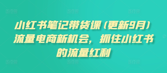 小红书笔记带货课，流量电商新机会，抓住小红书的流量红利(更新26年2月) - 渡客网创