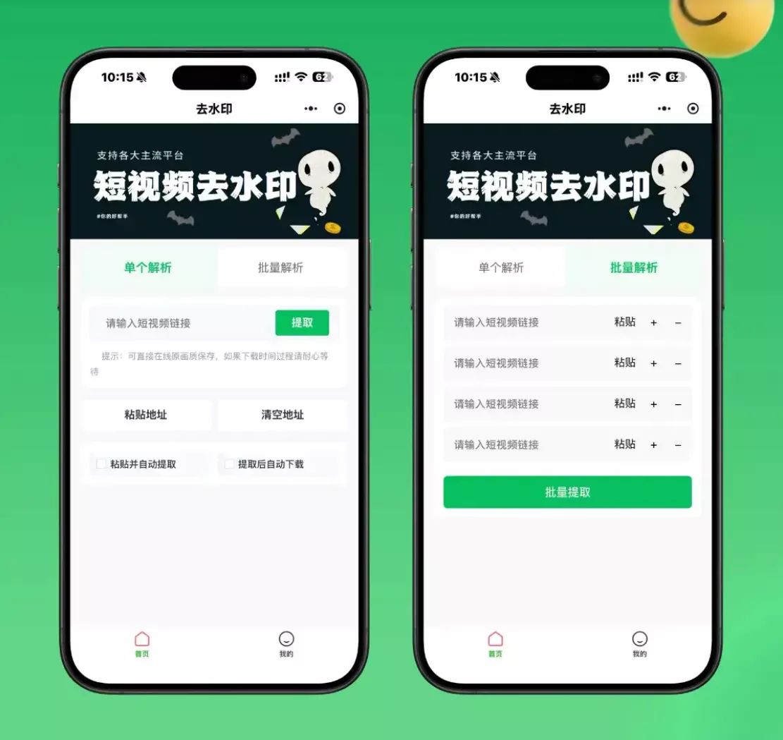 2026最新去水印小程序源码 v1.6.5 带流量主 - 渡客网创