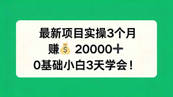 最新项目实操3个月，赚钱20000+，0基础小白3天学会！ - 渡客网创