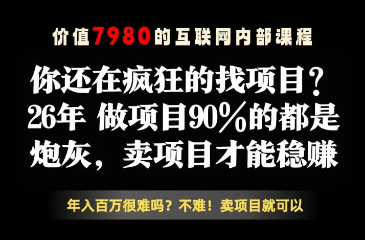 26年请不要疯狂的找项目了，卖项目远比你想象的暴利，你也可以月入10W+【揭秘】 - 渡客网创
